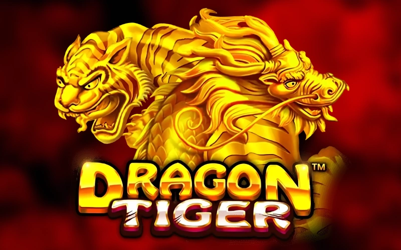 Spinwiz mergulhe no Dragon Tiger onde cada escolha decide tudo instantaneamente.