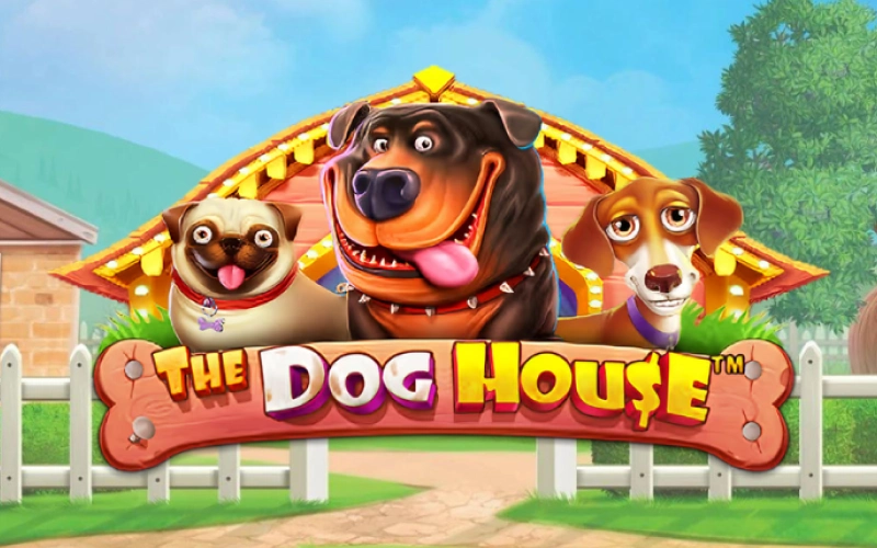 Spinwiz descubra The Dog House e conquiste prêmios com recursos divertidos.